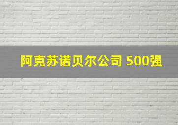 阿克苏诺贝尔公司 500强